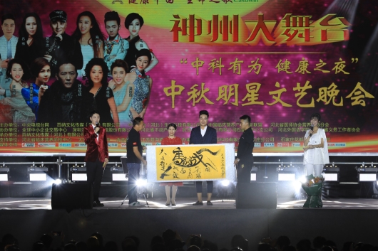 中国国际新闻:健康中国 生命之歌大型明星演唱会圆满落幕