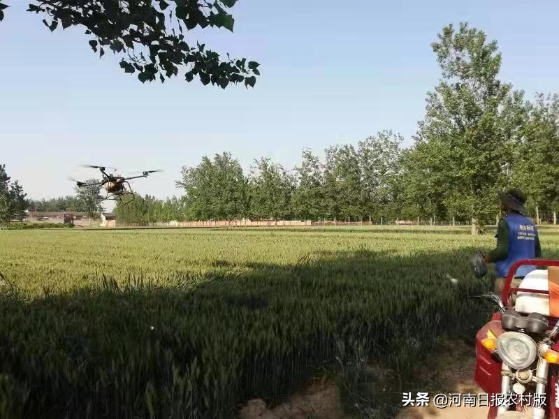 安阳市生态环境局宣教科主任科员睢晓康:一位驻村第一书记的倾情回忆,岁月无虚度,回眸当笑慰