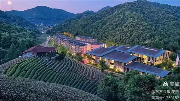 安阳市企联政策咨询专家杭州行：探索文旅康养产业融合发展新路径图3